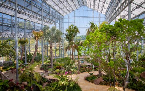 Nicholas Conservatory
