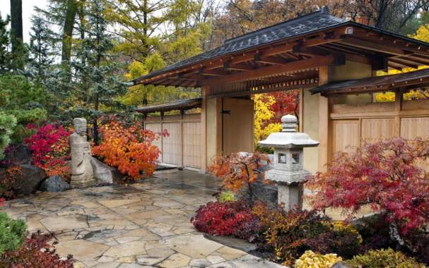 anderson gardens fall