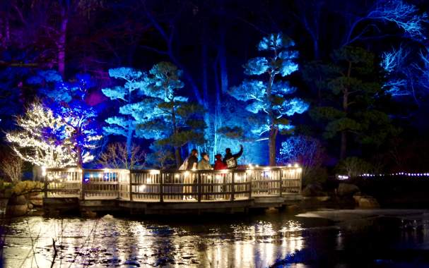 Illuminated Lights at Anderson Japanese Gardens