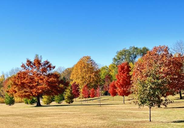 A Fall Day in Cherry Valley