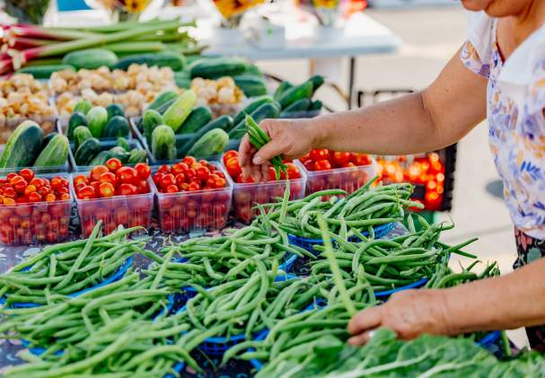 Farmer’s Markets and Summer Farm Experiences in the Rockford Region