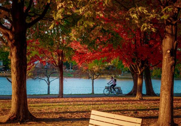 fall bike path 3