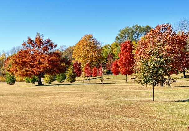 A Fall Day in Cherry Valley