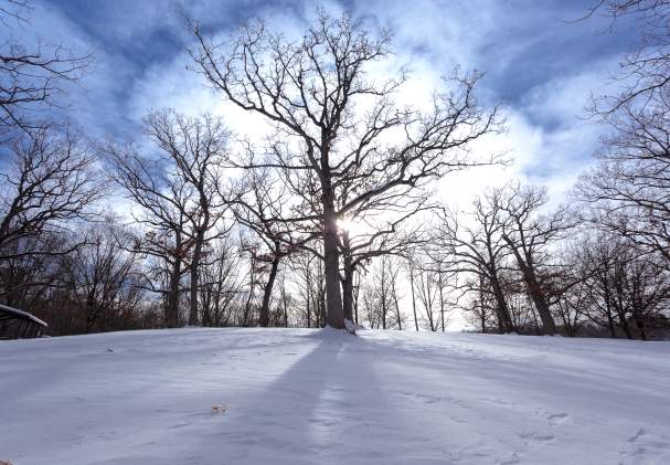 Experience Winter Recreation in Rockford!