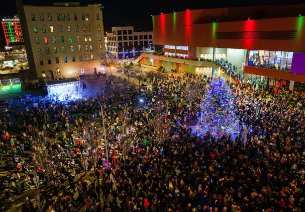 Stroll Tree Lighting