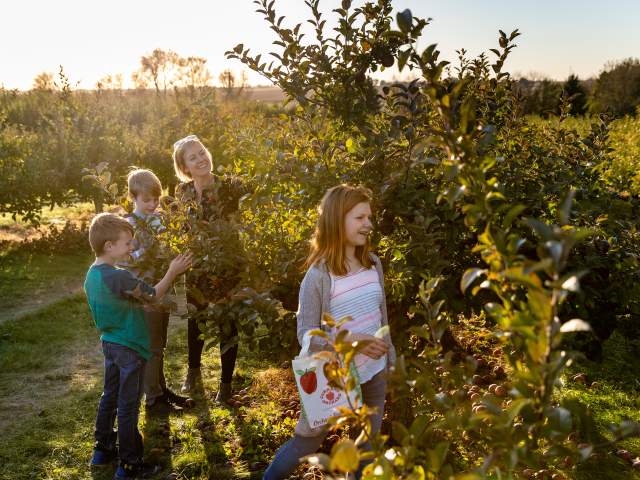 Curran's Orchard