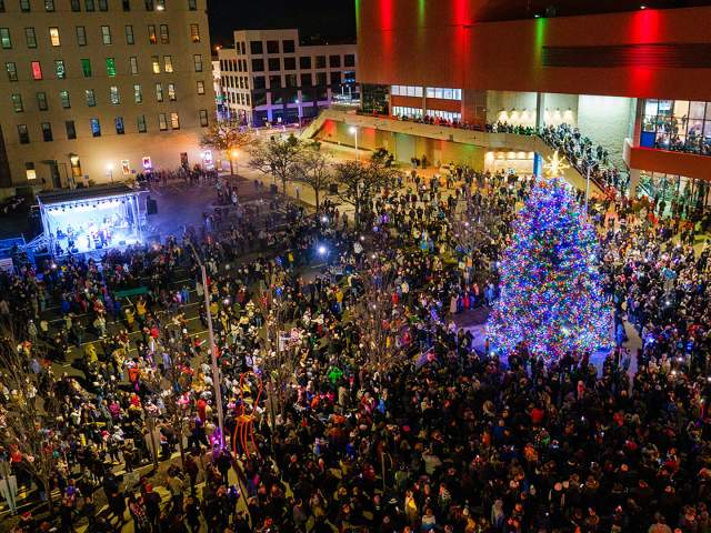 Stroll on State Tree