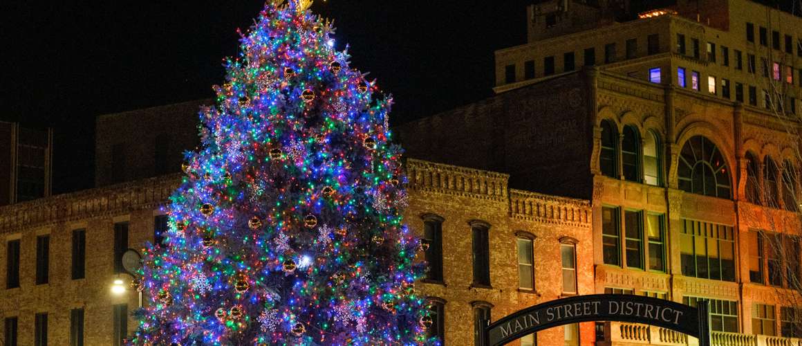 Stroll on State Tree Lighting