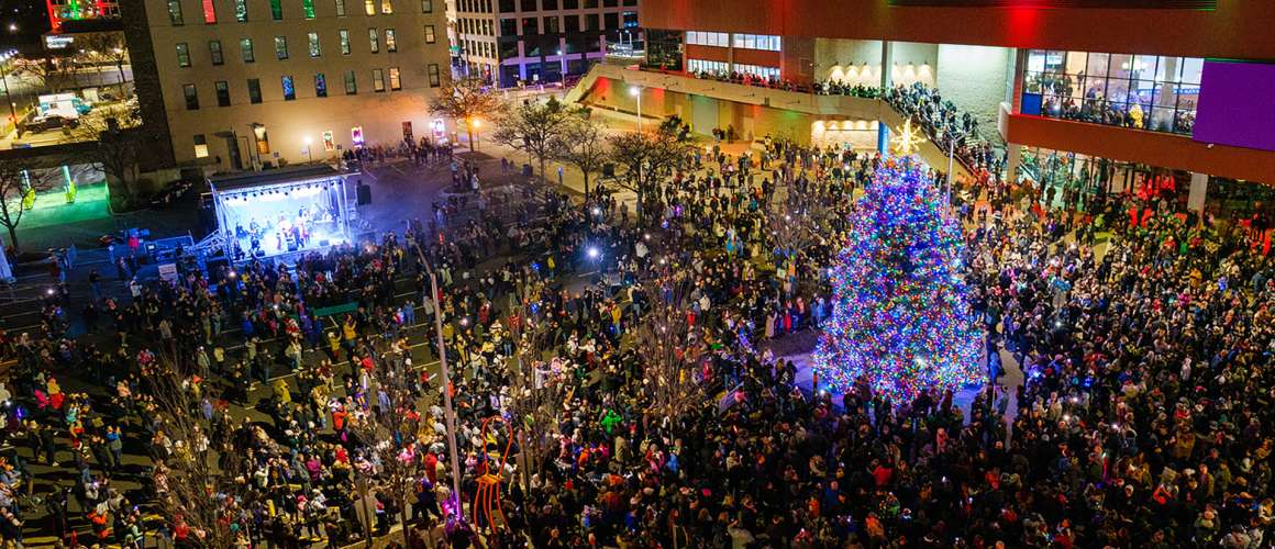 Stroll on State Tree