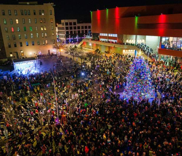Stroll Tree Lighting