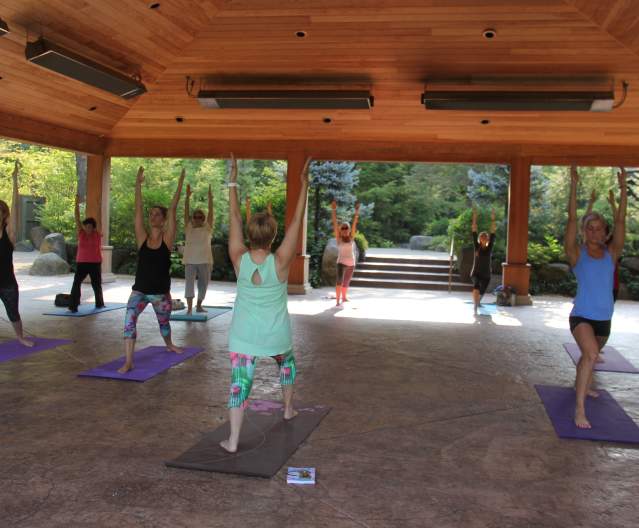 Yoga in the Rockford Region
