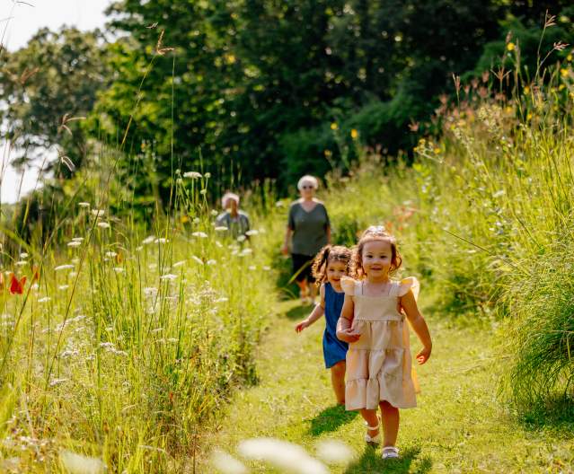 Top Things To Do In Rockford