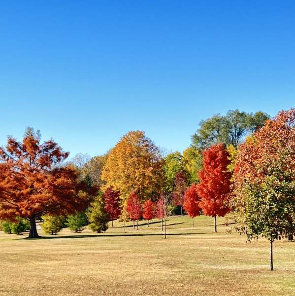 A Fall Day in Cherry Valley
