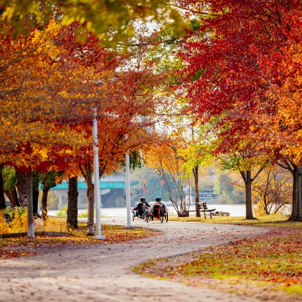 Rockford’s Top Fall Foliage Spots