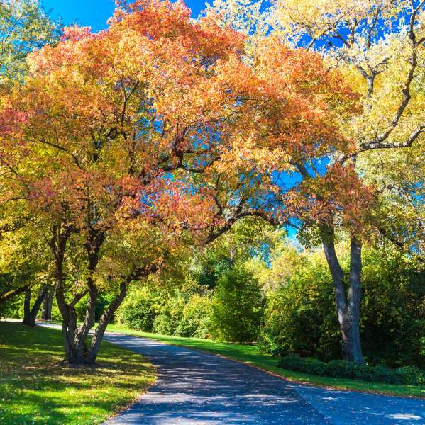 FALL into a Weekend in Rockford