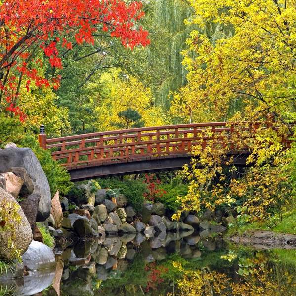 Top Instagrammable Fall Spots in the Rockford Region