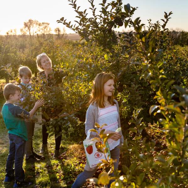 Curran's Orchard