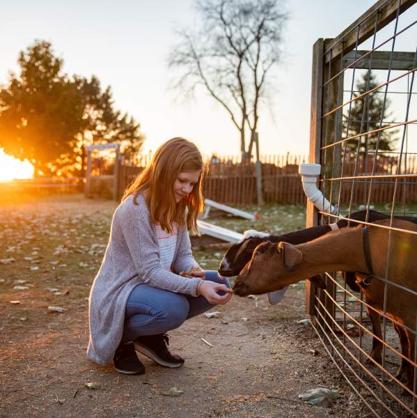 Have a Field Day: Farm Experiences in the Rockford Region
