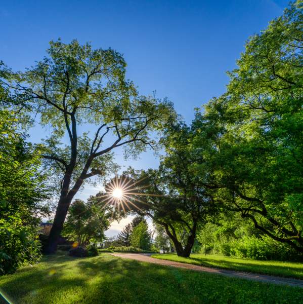 Klehm Nature & Outdoors Header