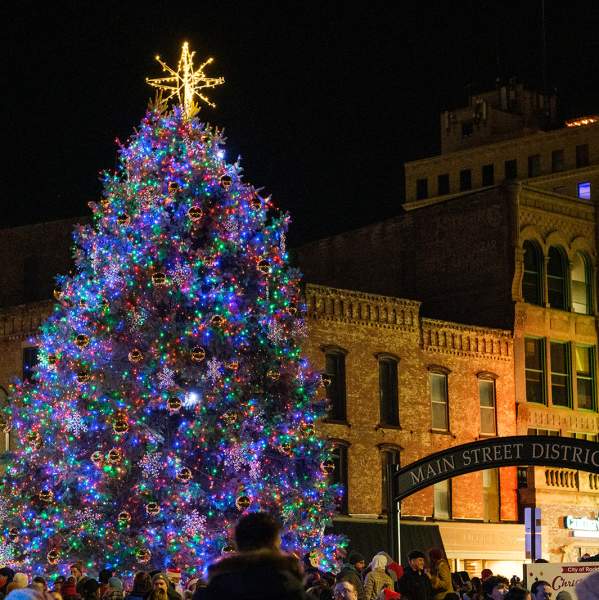 Stroll on State Tree Lighting