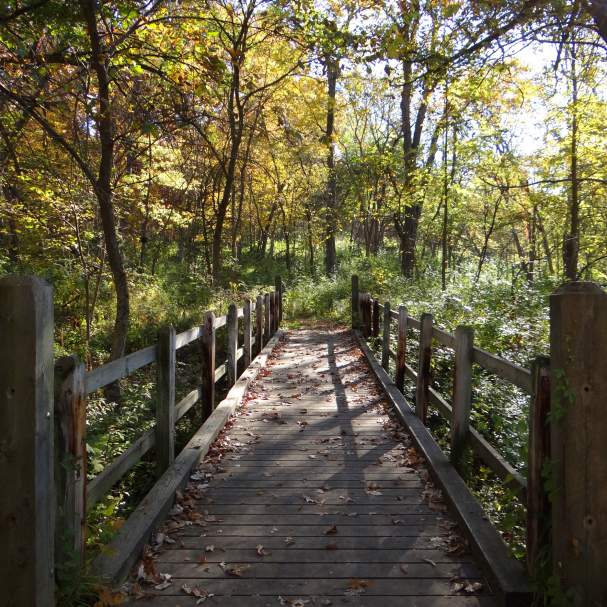 Severson Dells walkway