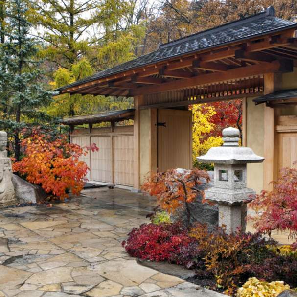 anderson gardens fall