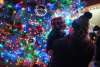 stroll on state tree