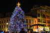 Stroll on State Tree Lighting