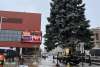 Stroll on State Tree Installation
