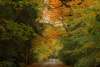 hi_097Fall