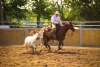 hi_108Cowboy