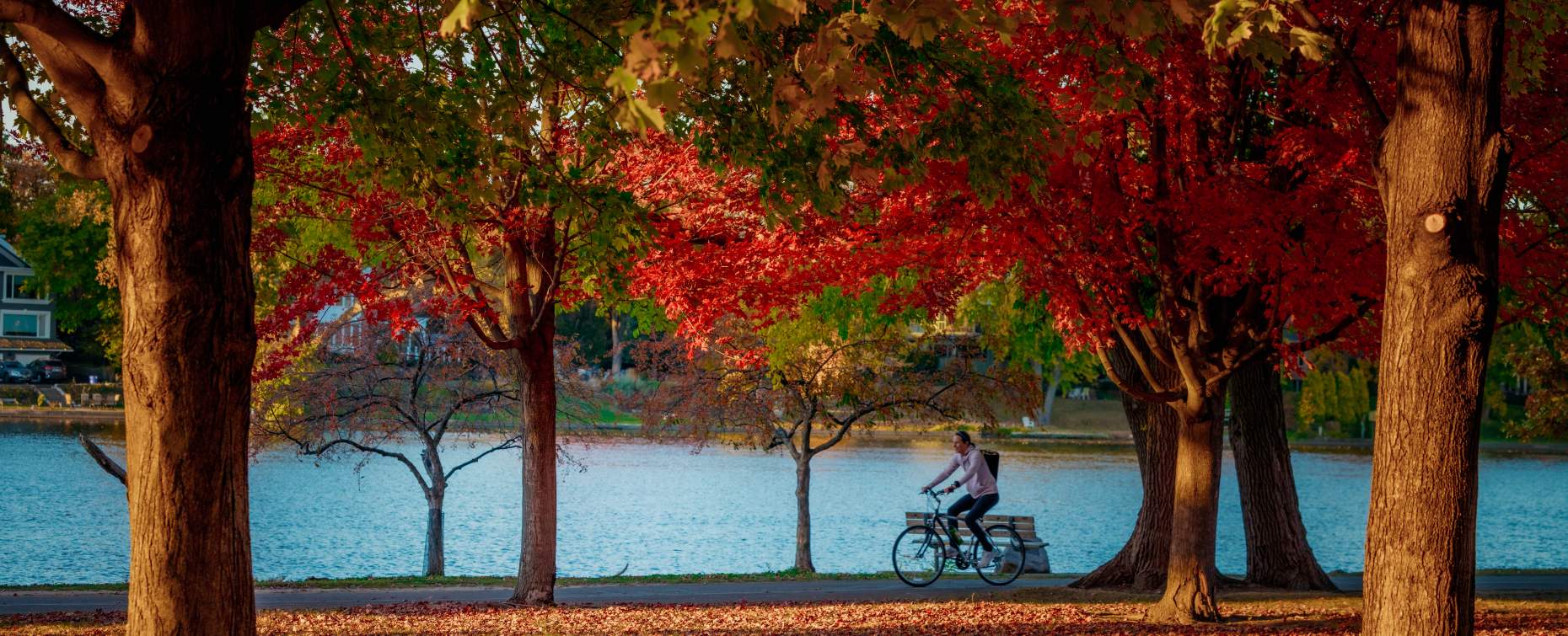 fall bike path 3