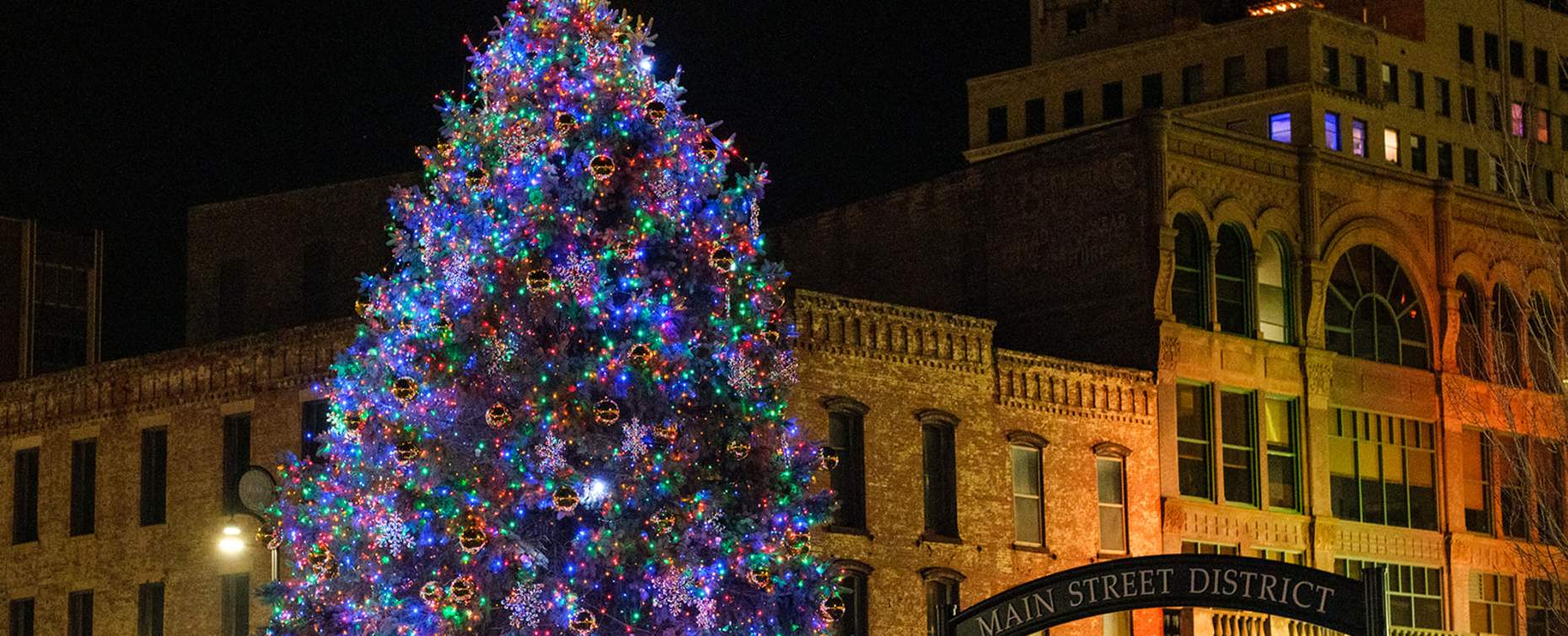 Stroll on State Tree Lighting