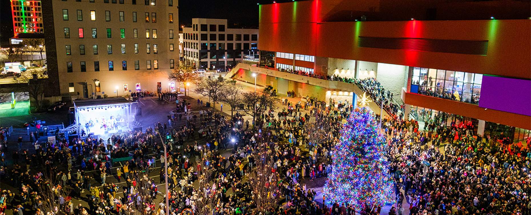 stroll tree lighting