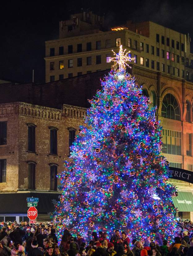 City Tree Lighting