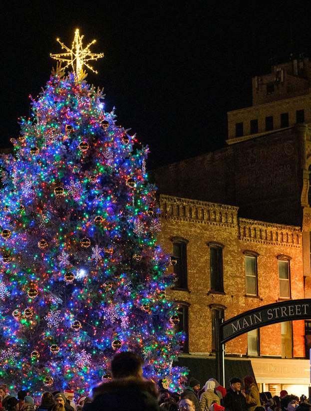 Stroll on State Tree Lighting