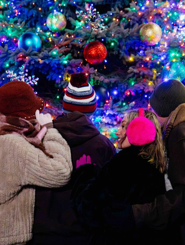 Stroll on State Tree