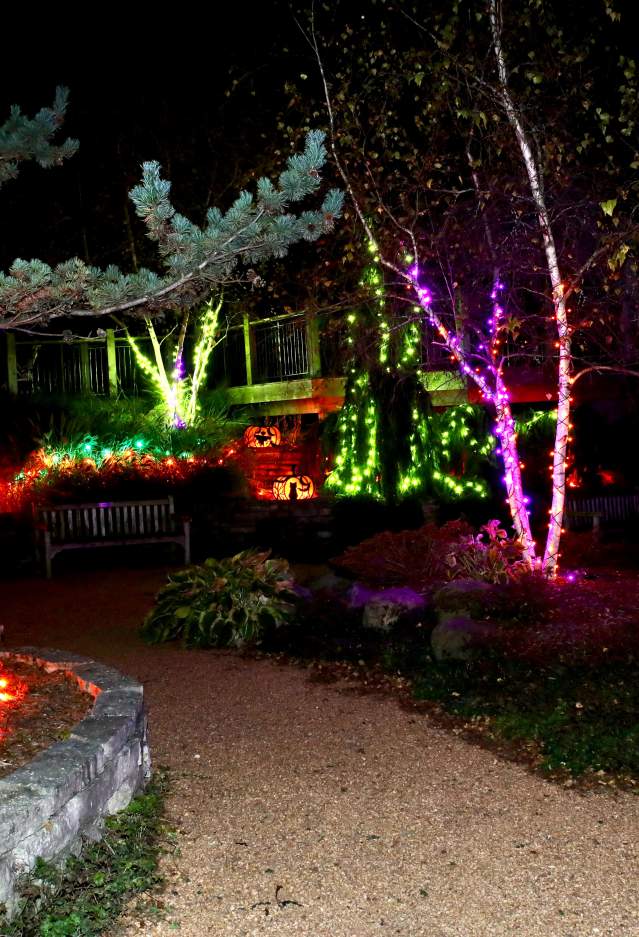 Eerie Autumn Lights