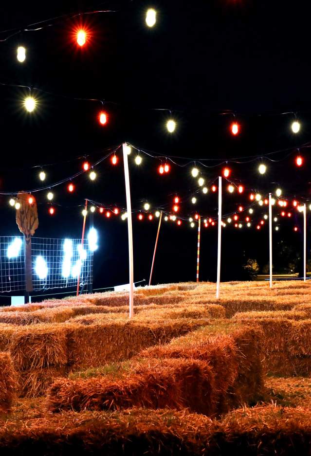Straw Maze