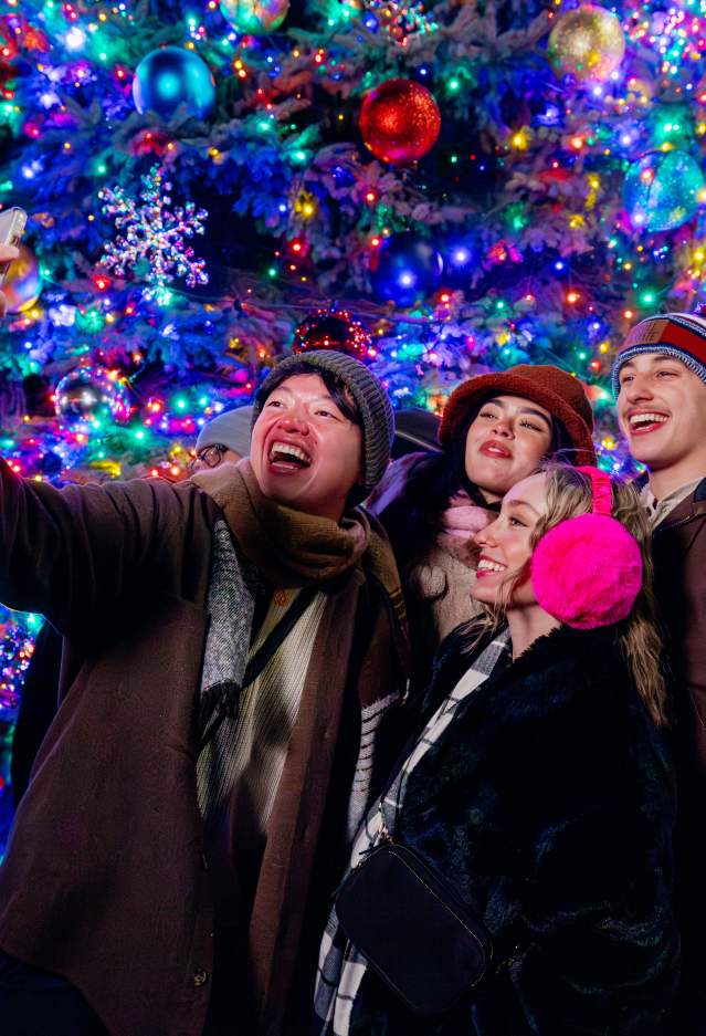 stroll on state tree