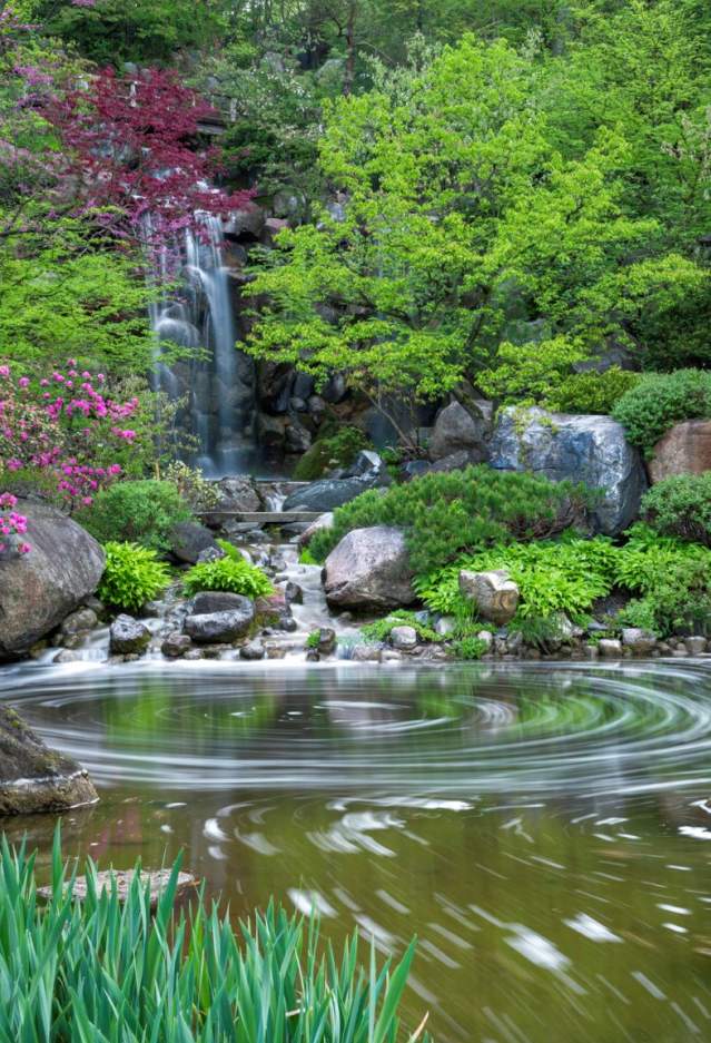 Anderson Japanese Gardens
