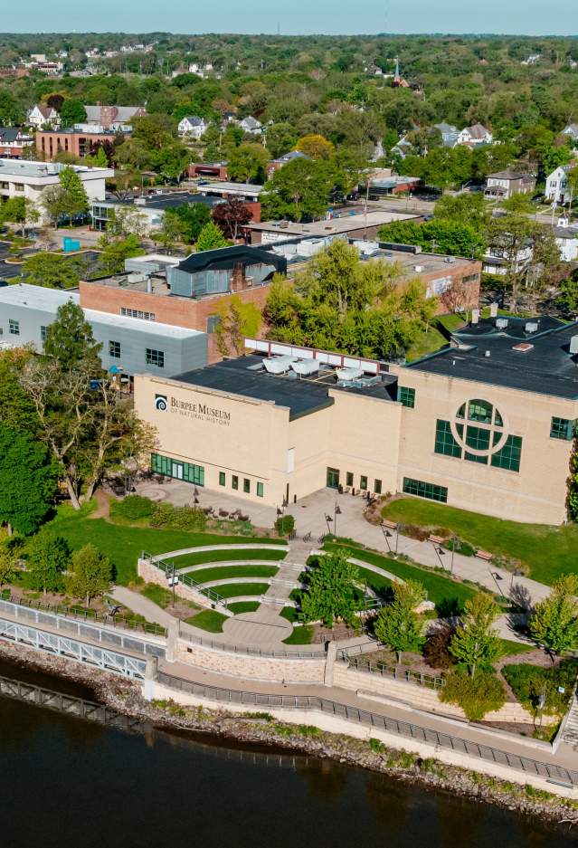 Burpee Museum Exterior