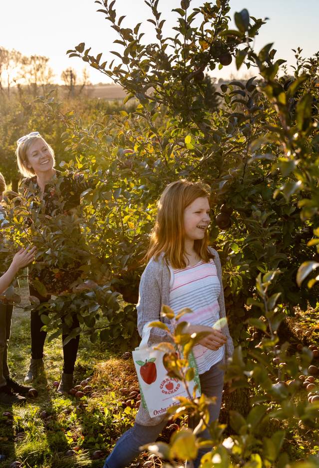 Curran's Orchard