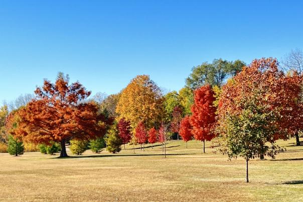 baumann park fall