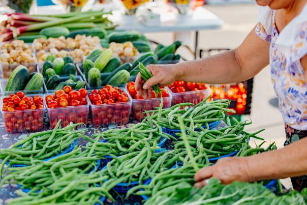 edgebrook farmers market