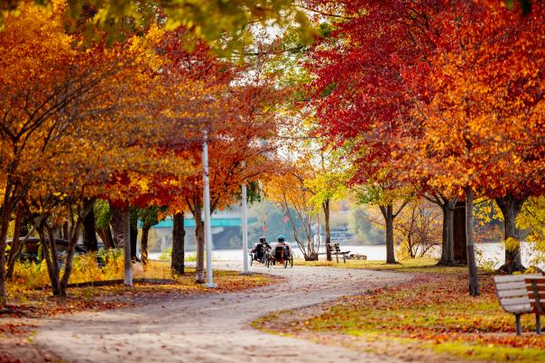 fall bike path
