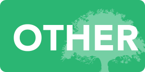 Other Button