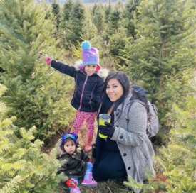 Williams Tree Farm Instagrammable Spots
