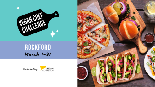 rockford vegan chef challenge