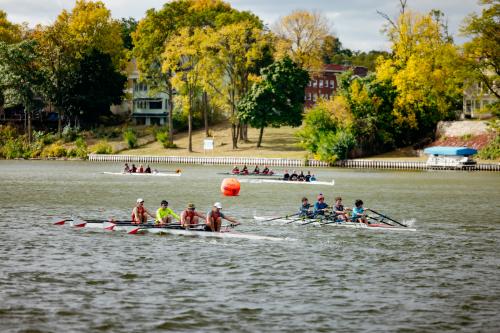 regatta